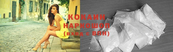 ГАЛЛЮЦИНОГЕННЫЕ ГРИБЫ Арсеньев
