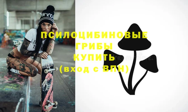 spice Армянск