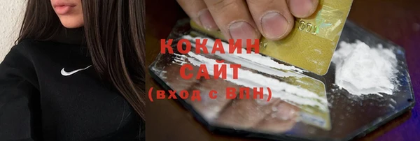 ГАЛЛЮЦИНОГЕННЫЕ ГРИБЫ Арсеньев
