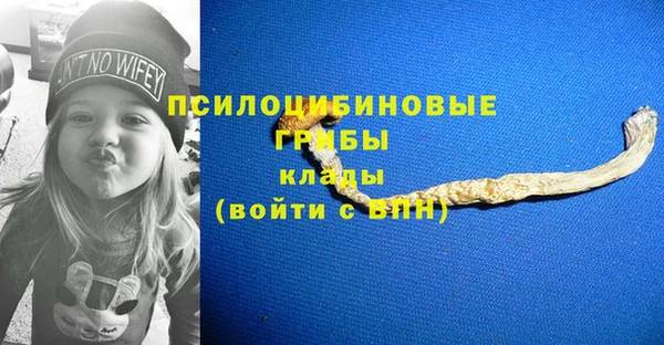 spice Армянск