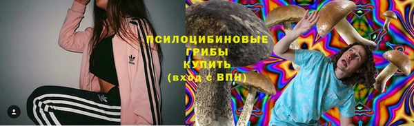 spice Армянск