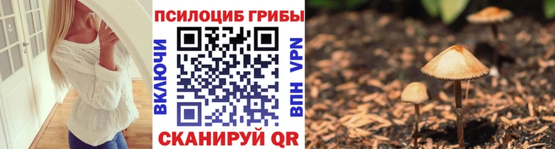 Галлюциногенные грибы Psilocybe  Советский 